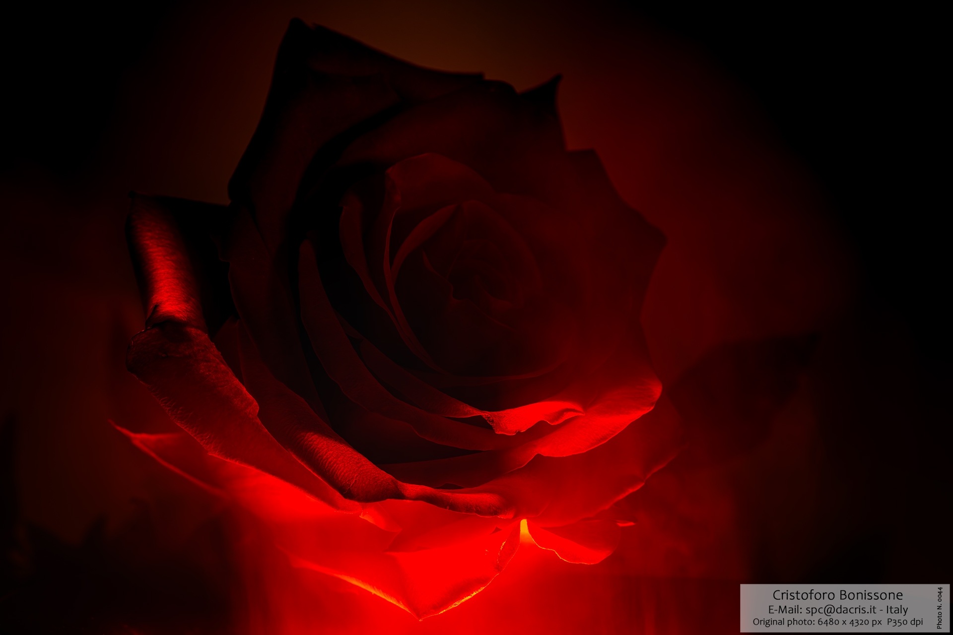 044